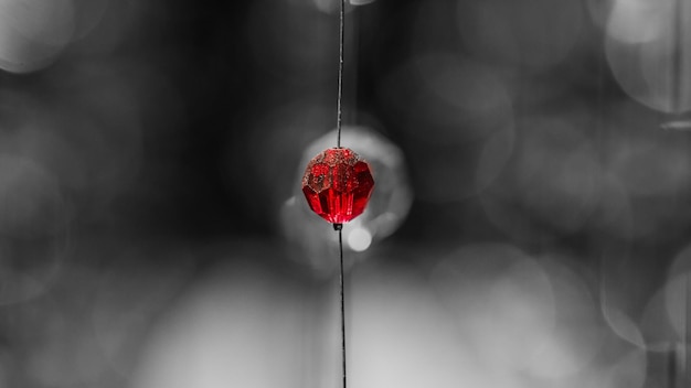 Krew w Sennikach – Interpretacje, Symbolika i Znaczenie