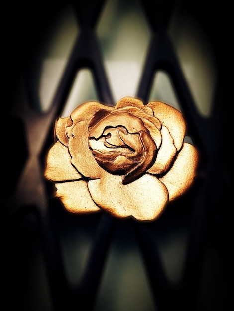 Sennik Róże – Co Oznaczają i Jak Je Interpretować?